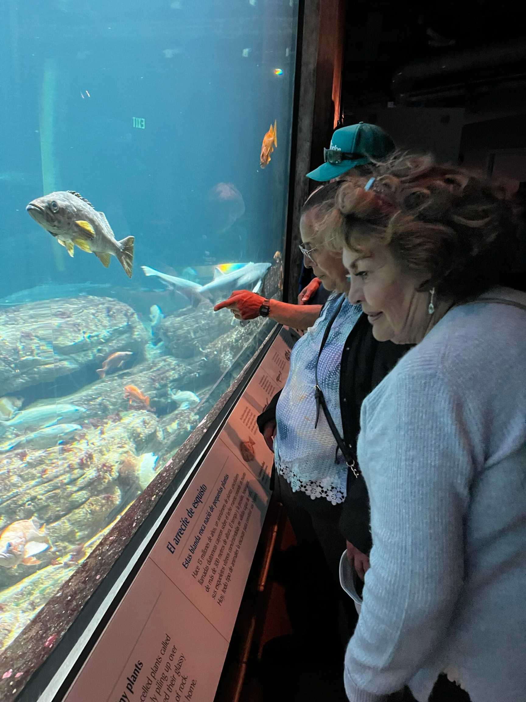 A woman points at a colorful fish swimming in a clear aquarium filled with aquatic plants. - Copy